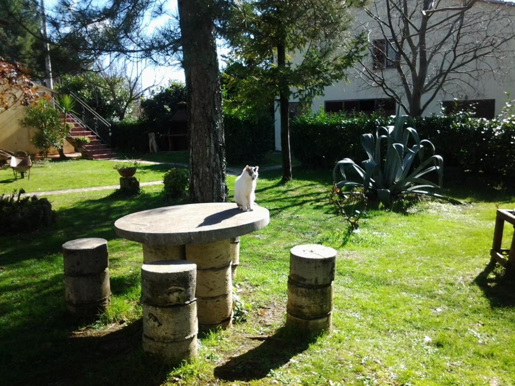 Agriturismo Il Capannone Montemerano Exterior foto